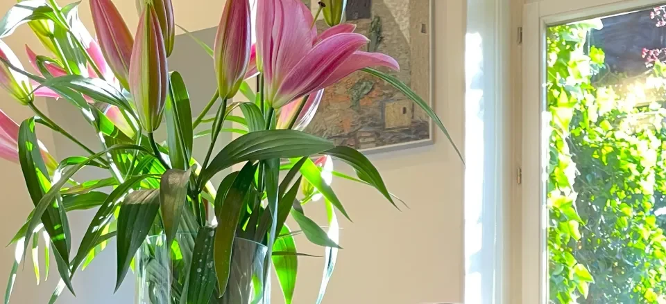 widok wnętrza Studio Stomatologii Estetycznej