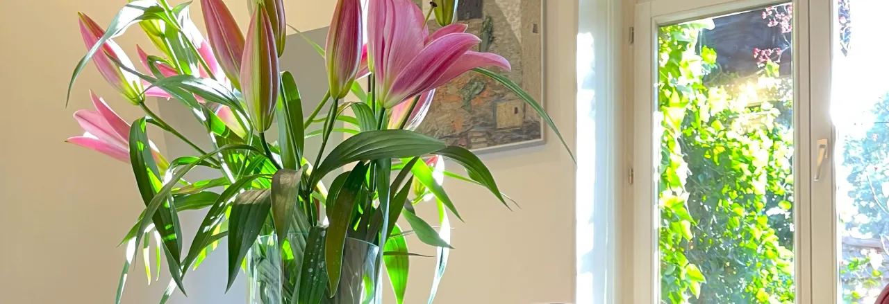 widok wnętrza Studio Stomatologii Estetycznej