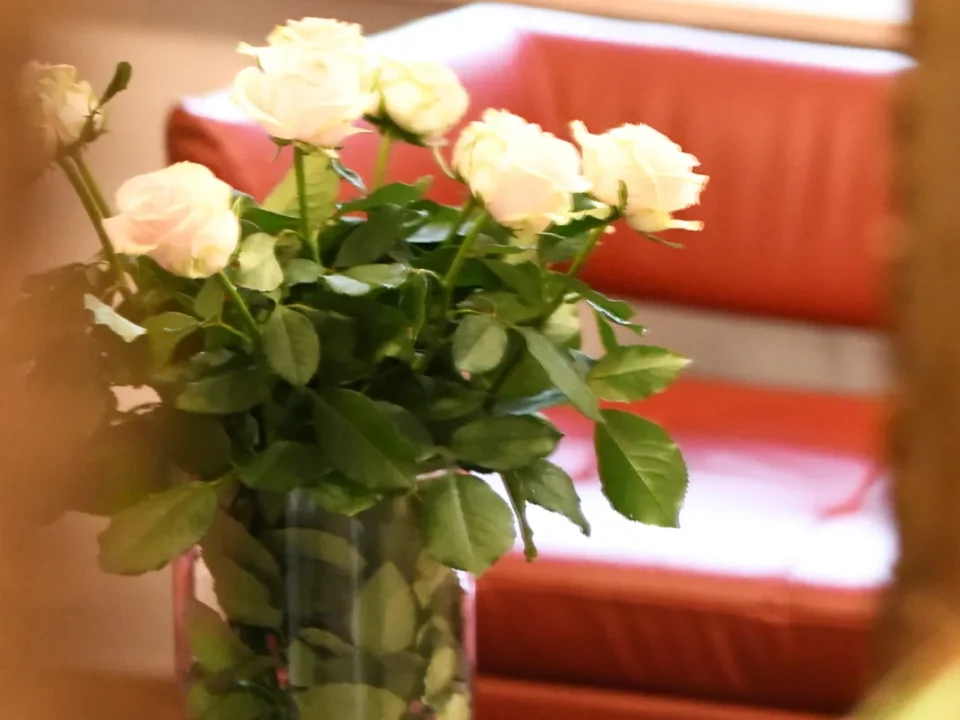 wnętrze lustro róże studio stomatologi estetycznej