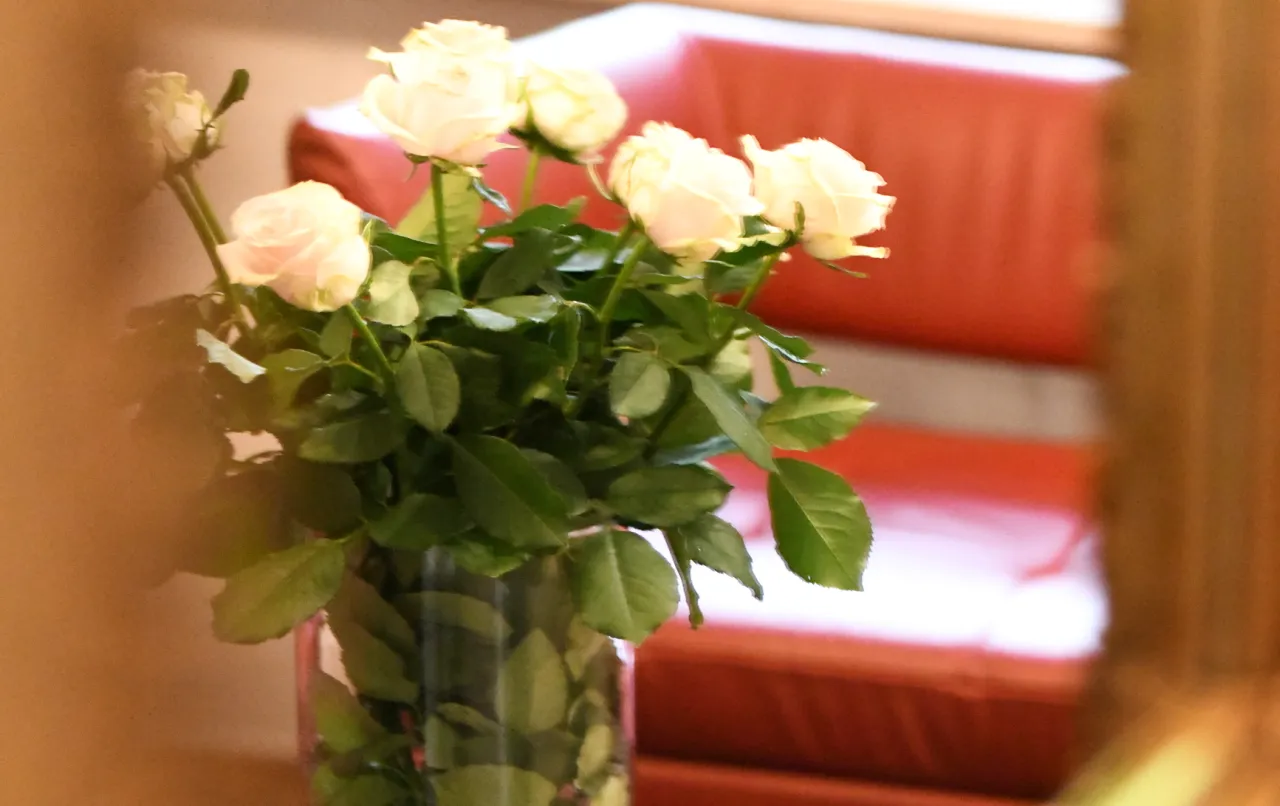 wnętrze lustro róże studio stomatologi estetycznej