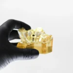 Model z implantami stomatologicznymi